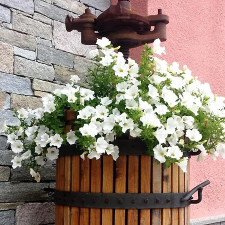 La Rosa Tra I Laghi * Meina