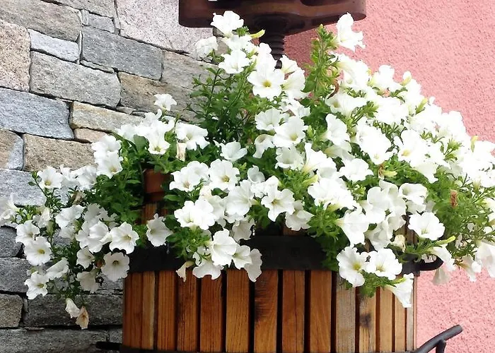 La Rosa Tra I Laghi 3* Meina